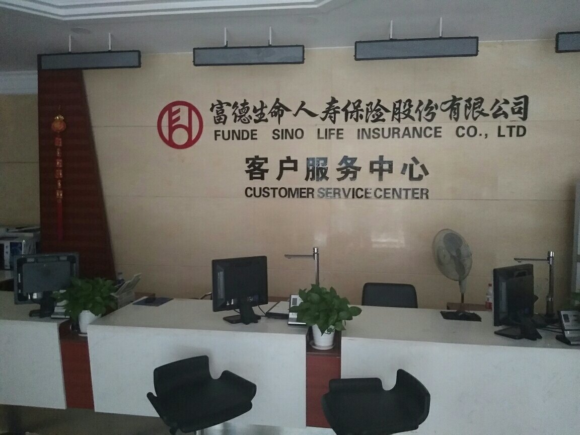 富德生命人壽保險公司投資咨詢服務 推動財富穩健增長的專業之選